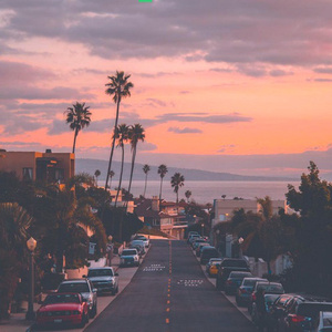 女性统治，黄片
